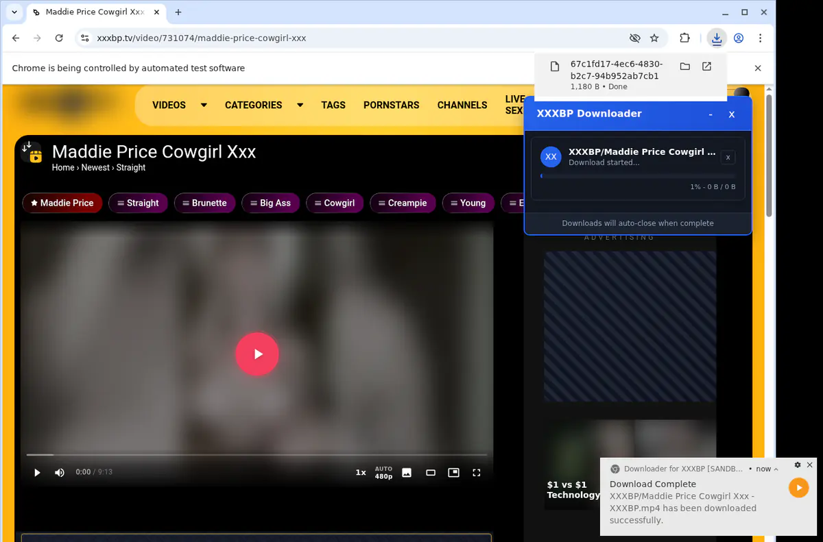 Xxxbp Video Downloader screenshot 2
