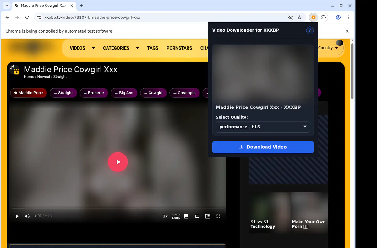 Xxxbp Video Downloader screenshot 3